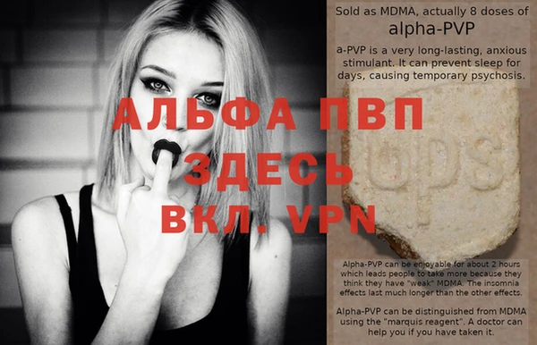 мяу мяу мука Абаза
